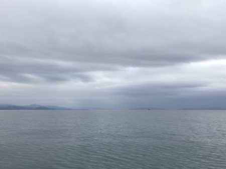 釣船 浦島太郎 釣果