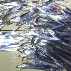 Hit Rush(ヒット ラッシュ) 釣果