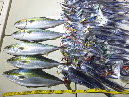 Hit Rush(ヒット ラッシュ） 釣果…