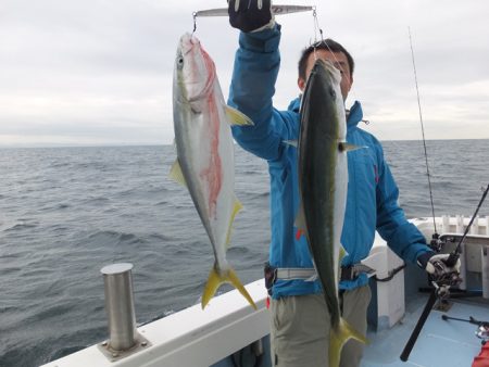 Hit Rush(ヒット ラッシュ) 釣果