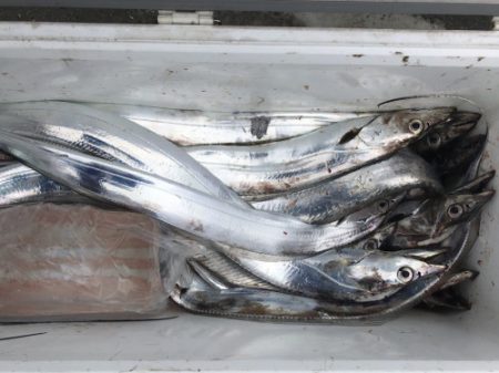 釣船 浦島太郎 釣果