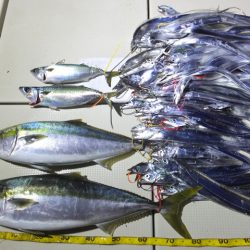 Hit Rush(ヒット ラッシュ） 釣果