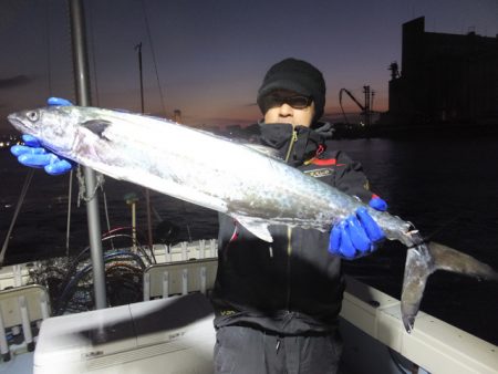 Hit Rush(ヒット ラッシュ） 釣果…