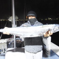 Hit Rush(ヒット ラッシュ) 釣果