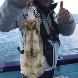 釣船 浦島太郎 釣果