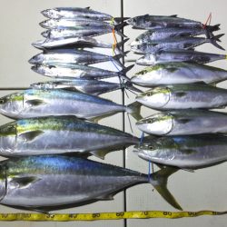 Hit Rush(ヒット ラッシュ) 釣果