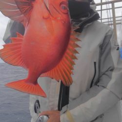 遊漁船 新鋭丸 釣果