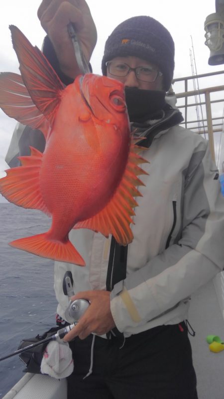 遊漁船 新鋭丸 釣果