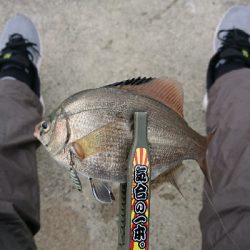 アジングに行くも・・・