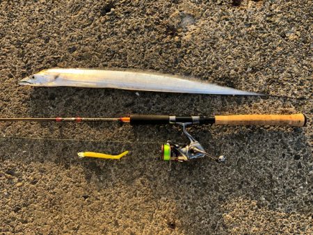 明石ワインド19