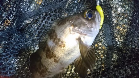 潮の流れに翻弄されました