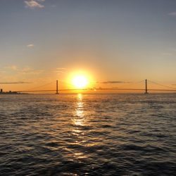 明石ワインド19