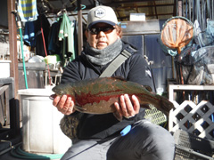 すそのフィッシングパーク 釣果