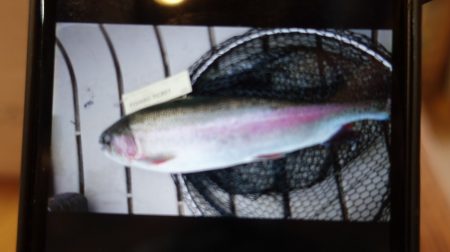 フィッシングレイクたかみや 釣果