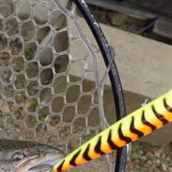 フィッシングレイクたかみや 釣果