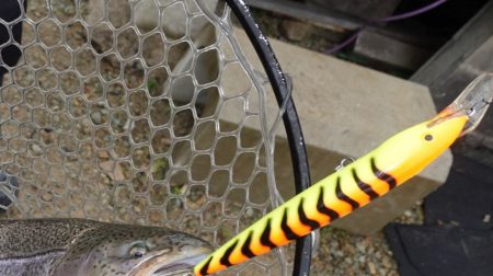 フィッシングレイクたかみや 釣果