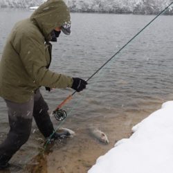 フィッシングレイクたかみや 釣果