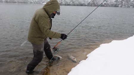 フィッシングレイクたかみや 釣果