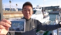 フィッシングボートACE(エース) 釣果