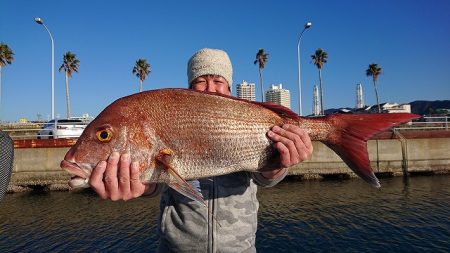 フィッシングボートACE(エース) 釣果