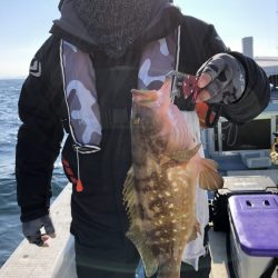 リトルワン 釣果