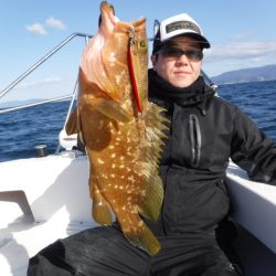 ＢｌｕｅＮｏｔｅ　Ｆｉｓｈｉｎｇ　Ｔａｘｉ 釣果