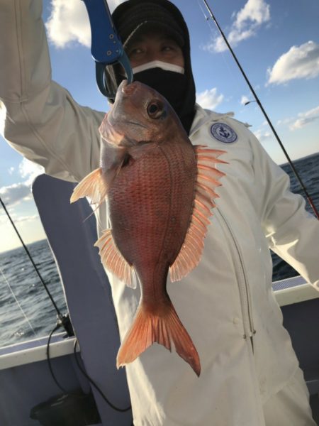 新幸丸 釣果