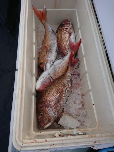 ありもと丸 釣果