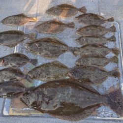 FISHING RISKY 釣果