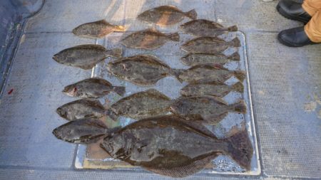 FISHING RISKY 釣果