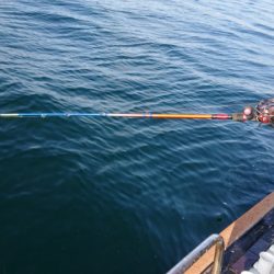 FISHING RISKY 釣果