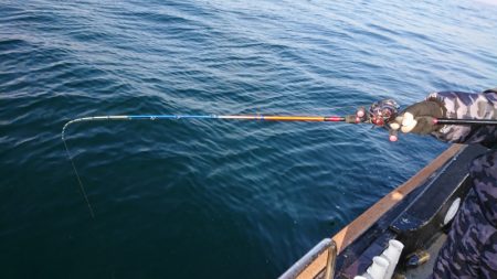 FISHING RISKY 釣果