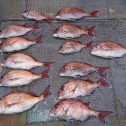 FISHING RISKY 釣果