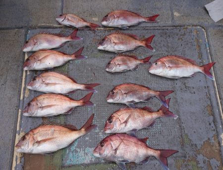 FISHING RISKY 釣果