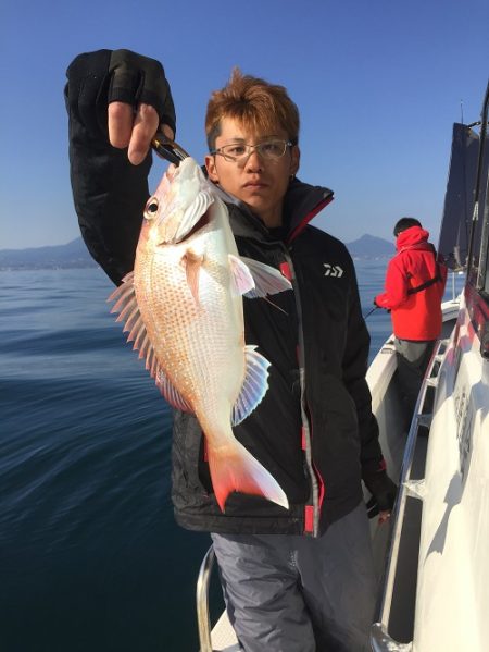 sea boss シーボス 釣果