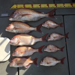 sea boss シーボス 釣果