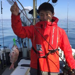 sea boss シーボス 釣果