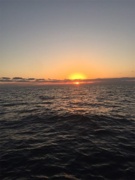 マタウマリンサービス 釣果