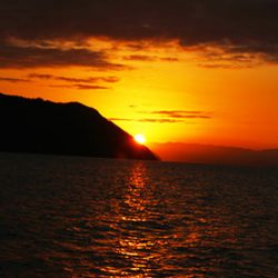 松本釣船２ 釣果