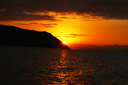 松本釣船２ 釣果