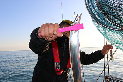 松本釣船２ 釣果