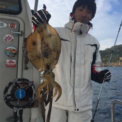 マタウマリンサービス 釣果