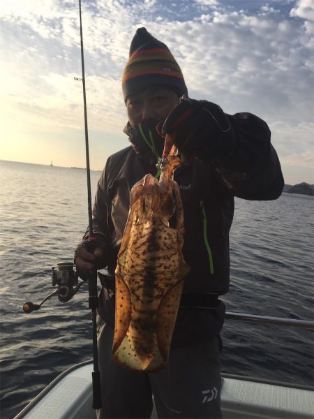 マタウマリンサービス 釣果