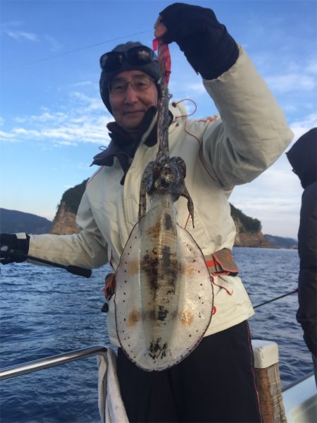 マタウマリンサービス 釣果