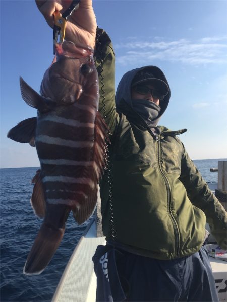 マタウマリンサービス 釣果