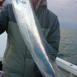 オーフリー 釣果