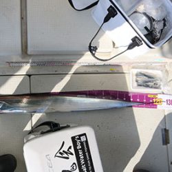 松本釣船２ 釣果