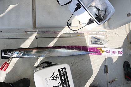 松本釣船２ 釣果