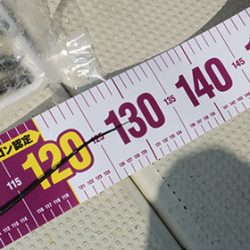 松本釣船２ 釣果