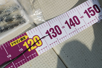 松本釣船２ 釣果